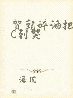 贺朝醉酒把谢俞C到哭