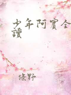 少年阿宾全本阅读