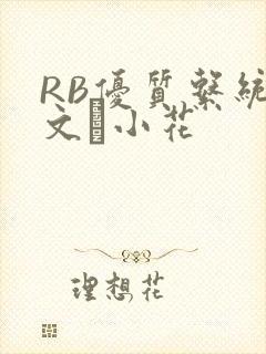 RB优质系统全文寀小花
