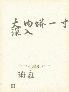 大肉蟒一寸寸地深入