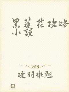 黑莲花攻略手册小说