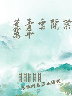 叶青云关禁闭一万年