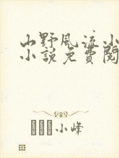 山野风流小神医小说免费阅读