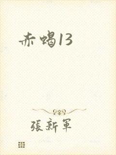 赤蝎13