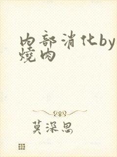 内部消化by红烧肉