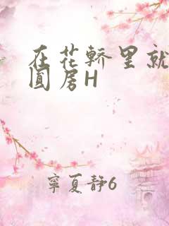 在花轿里就开始圆房H