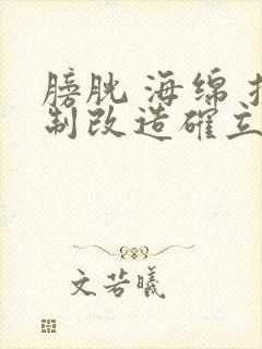 膀胱 海绵 控制改造确立m