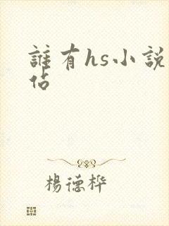 谁有hs小说网站