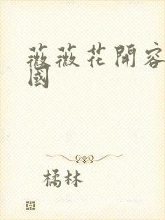 薇薇花开容颜倾国