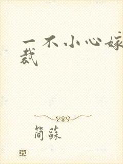 一不小心嫁给总裁