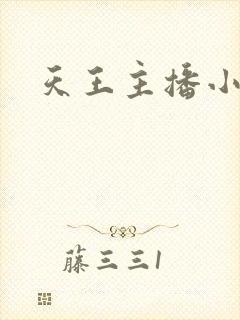 天王主播小说