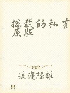 总裁的私有宝贝原版