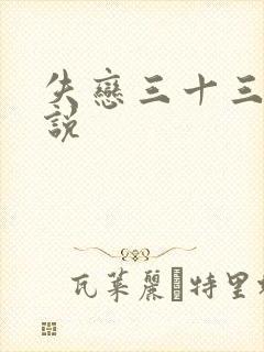 失恋三十三天小说