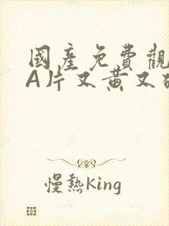 国产免费观看黄A片又黄又硬小说