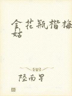 金花瓶楷梅花尼姑