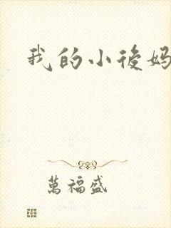 我的小后妈小说