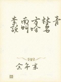 李南方林青青小说叫啥名