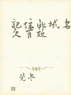 记住此域名记永久有效