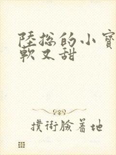 陆总的小宝贝又软又甜