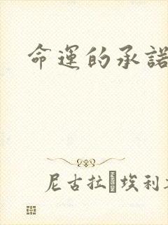 命运的承诺下载