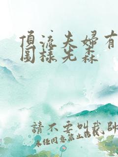 顶流夫妇有点甜图样先森