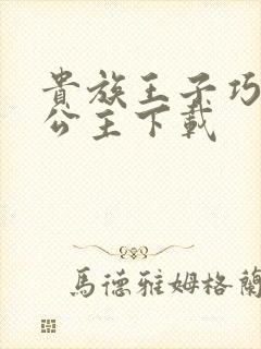 贵族王子巧遇穷公主下载