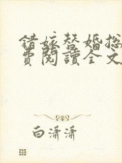 错嫁替婚总裁免费阅读全文