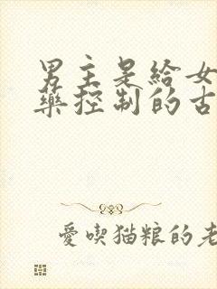 男主是给女主喂药控制的古言