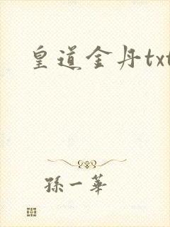 皇道金丹txt