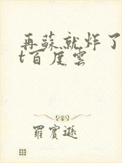 再苏就炸了txt百度云