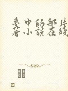 梦中的那片海原著小说在线阅读