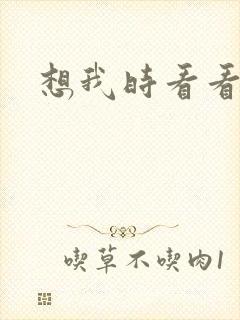 想我时看看星空