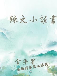 辣文小说书包网