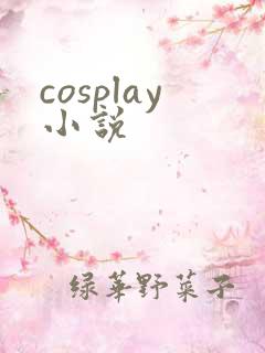 cosplay小说