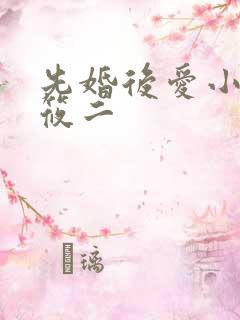 先婚后爱小说梦筱二