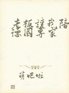 老板让我陪两个德国专家