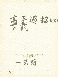 高手过招txt下载