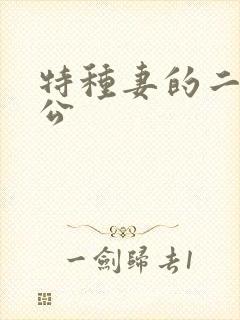 特种妻的二手老公