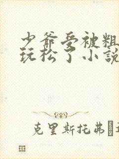 少爷受被粗汉H玩松了小说