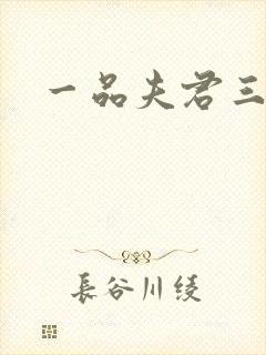 一品夫君三流妻