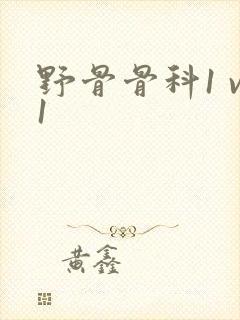 野骨骨科1 v1