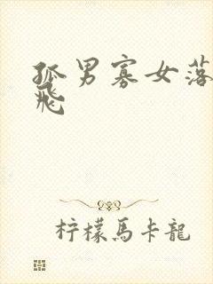 孤男寡女落瑛纷飞