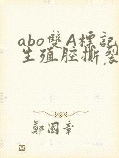 abo双A标记生殖腔撕裂