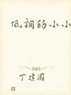 低调的小小宫女