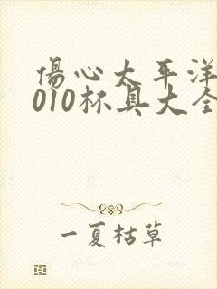 伤心太平洋之2010杯具大全