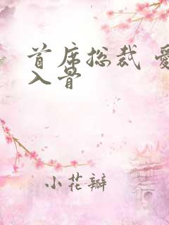 首席总裁 爱你入骨