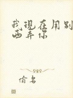 我现在用别的东西弄你