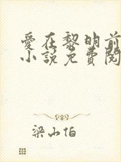 爱在黎明前降落小说免费阅读