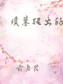 坟墓爬出的士兵