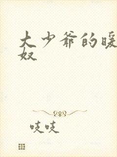 大少爷的暖床小奴